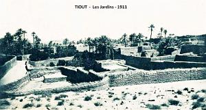 Tiout - Jardins - 1911